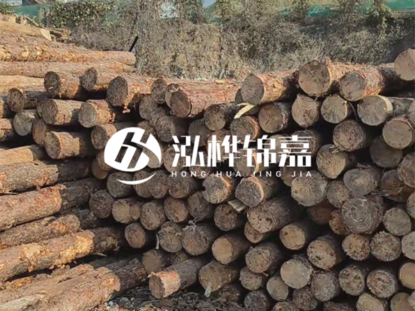 落葉松木材的主要產地在哪里？為什么比其他松木更耐腐蝕？