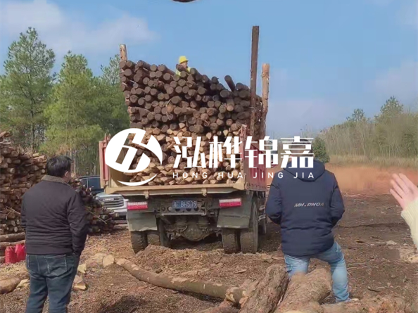 松木樁價(jià)格是按米算還是按根算？6米松木樁批發(fā)價(jià)每根多少錢？