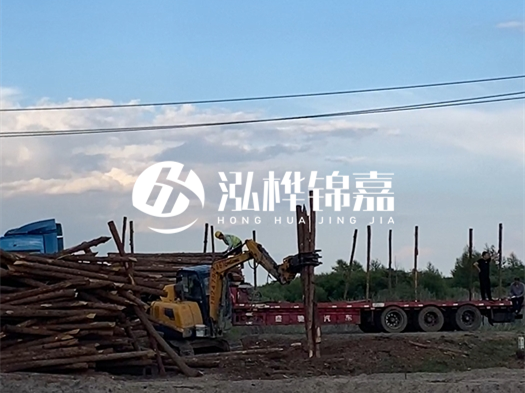 河北打樁木源頭廠家泓樺錦嘉 - 北方常用打樁木是什么？