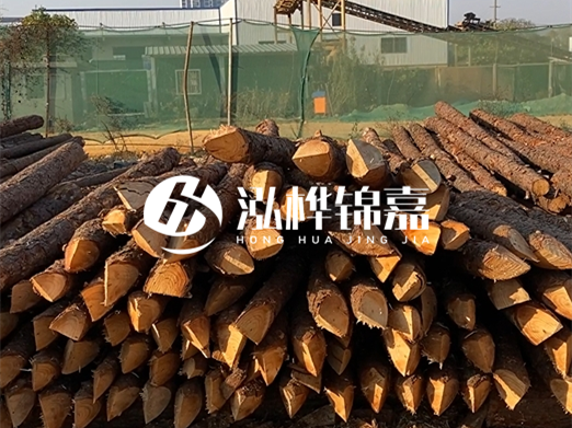 松木樁6米15cm打樁多少錢一根-專業打木樁隊聯系電話？