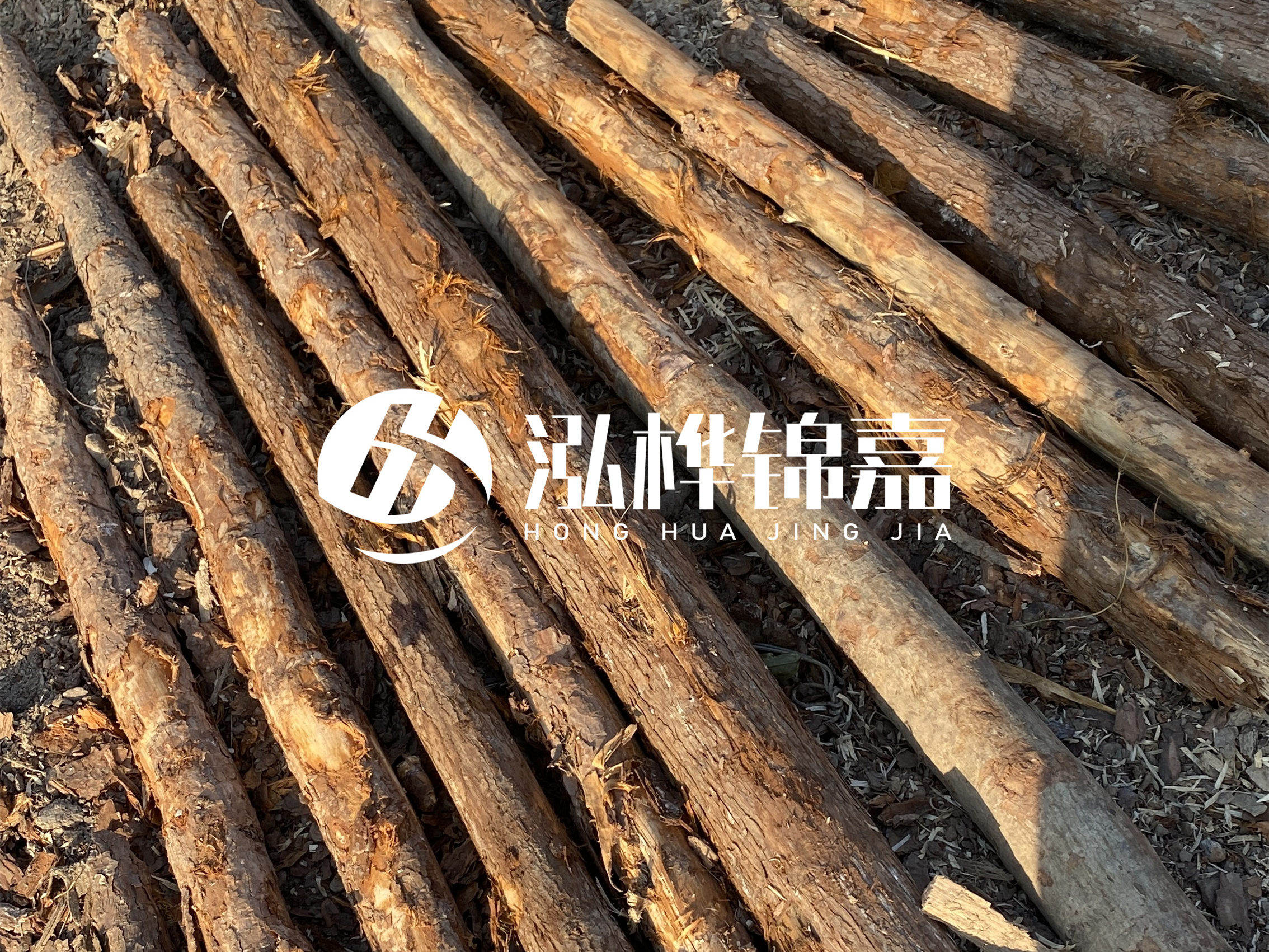 河道木樁多少錢一根？河道木樁的使用以及保養方法?
